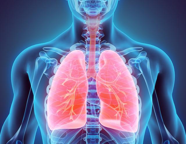 Veliko otkriće: Pluća ne služe samo za disanje